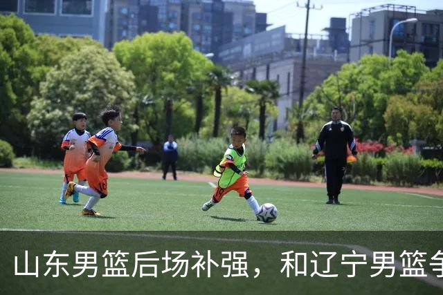 山东男篮后场补强，和辽宁男篮争抢20岁年轻后卫，潜力比王岚嵚大